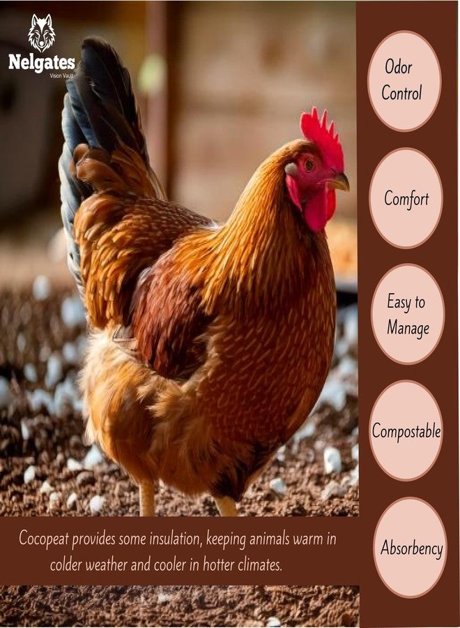 Nelgates Coco peat for Reptile,Cow, Hen, Pig, Goat Bedding, Natural Coco peat 1kg - Image 5